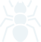 ant